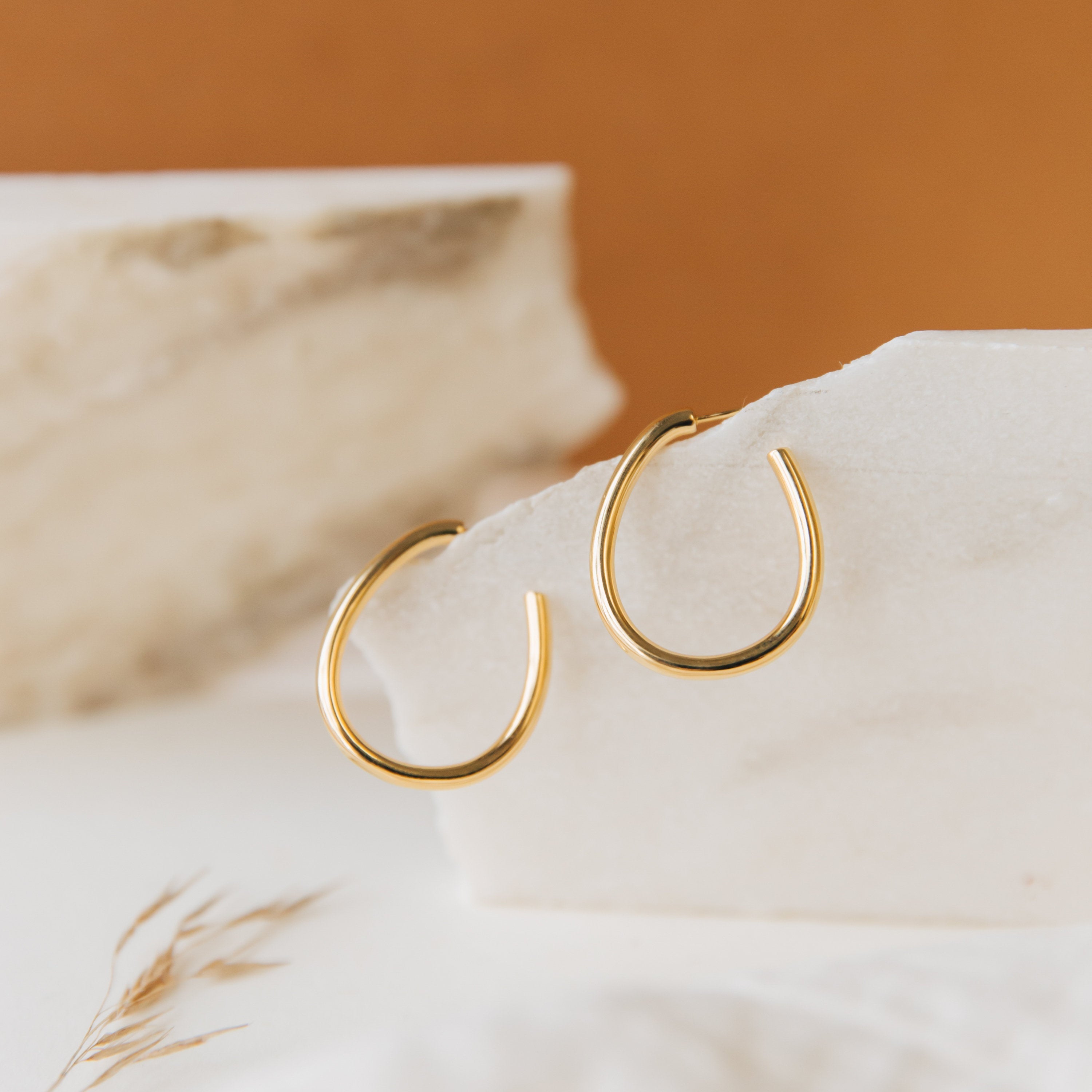 Elegance in Motion: Anine Oval Hoops